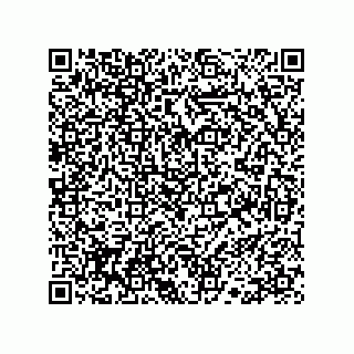 vCard 78113190176