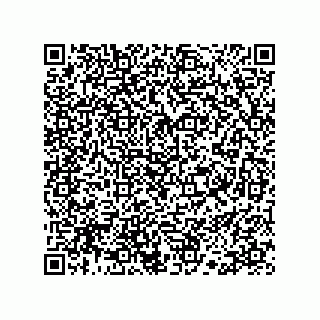 vCard 78113190177