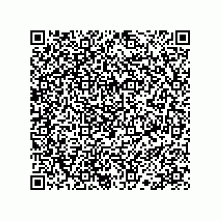 vCard 78113190181