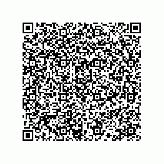 vCard 78113190199
