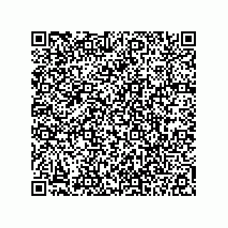 vCard 78113190200