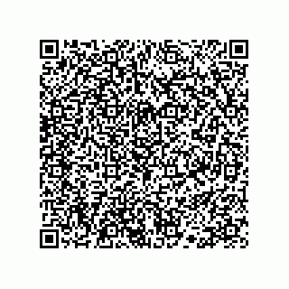 vCard 78113190203