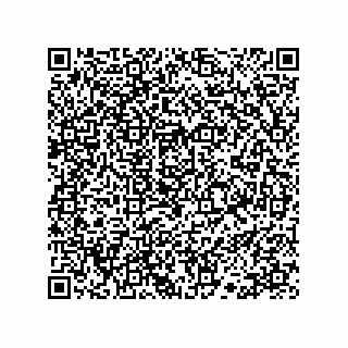 vCard 78113190210