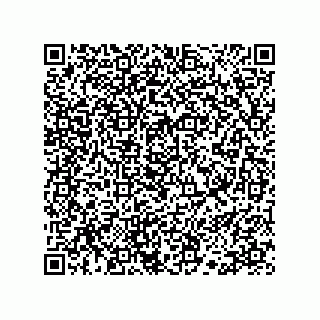 vCard 78113190218