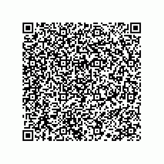 vCard 78113190241
