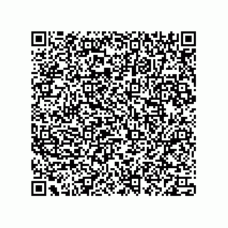 vCard 78113190249