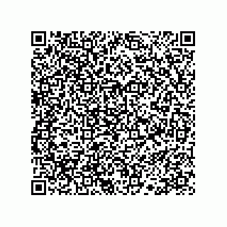 vCard 78113190250