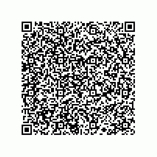 vCard 78113190251