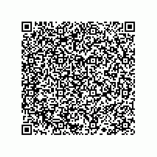 vCard 78113190253