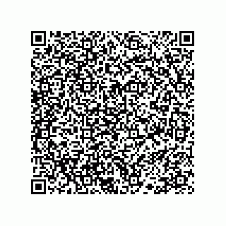 vCard 78113190255