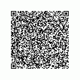 vCard 78113190259