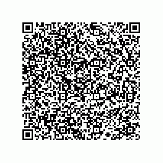 vCard 78113190260