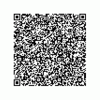 vCard 78113190261