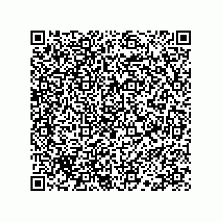 vCard 78113190272