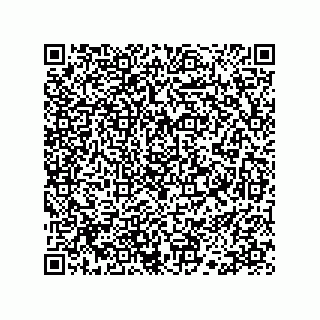 vCard 78113190276