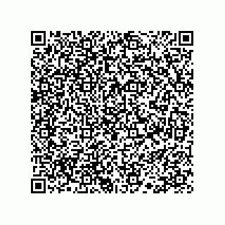 vCard 78113190277