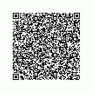 vCard 78113190279