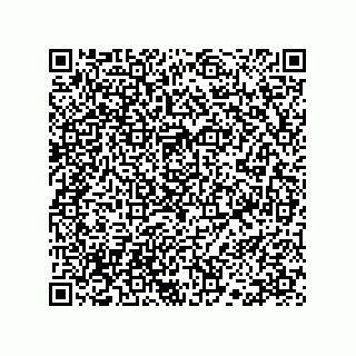 vCard 78113190280