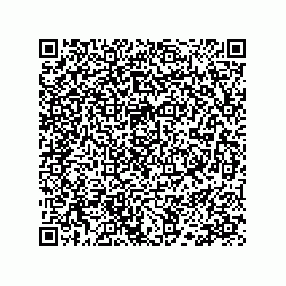 vCard 78113190281