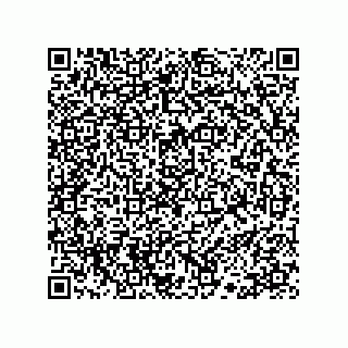 vCard 78113190285