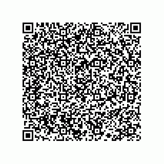vCard 78113190287