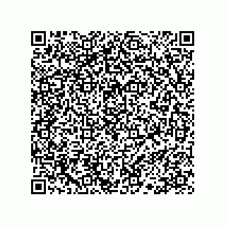 vCard 78113190289