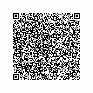 vCard 78113190290