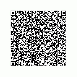 vCard 78113190291