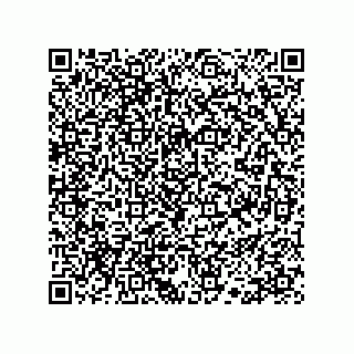 vCard 78113190293
