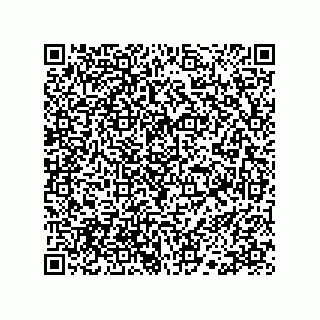 vCard 78113190294