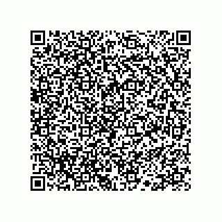 vCard 78113190295
