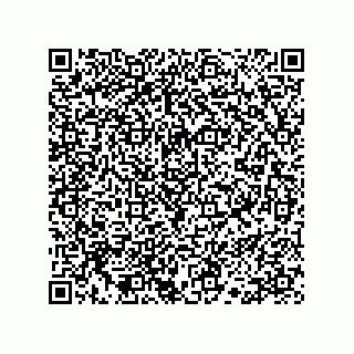 vCard 78113190299