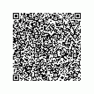 vCard 78113190300