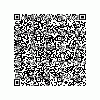 vCard 78113190301