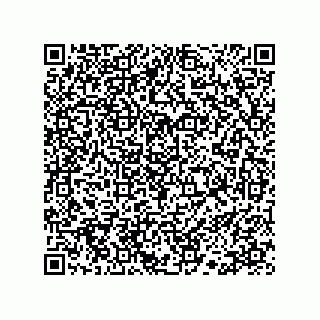 vCard 78113190304
