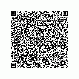 vCard 78113190309