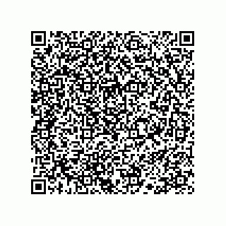 vCard 78113190310