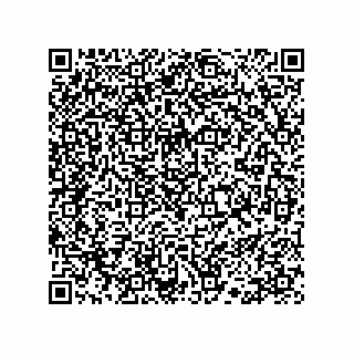 vCard 78113190311