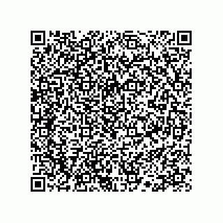 vCard 78113190313