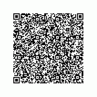 vCard 78113190314