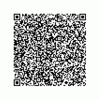 vCard 78113190315