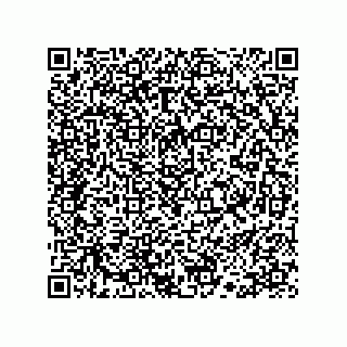 vCard 78113190317