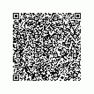 vCard 78113190318