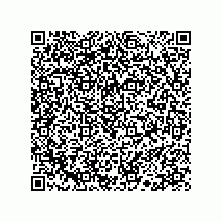 vCard 78113190319