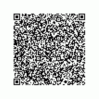 vCard 78113190329