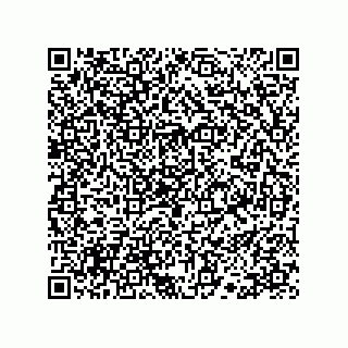 vCard 78113190330