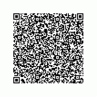 vCard 78113190333
