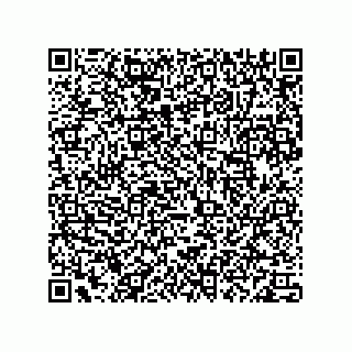 vCard 78113190334