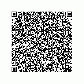 vCard 78113190335