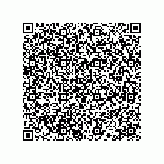 vCard 78113190337